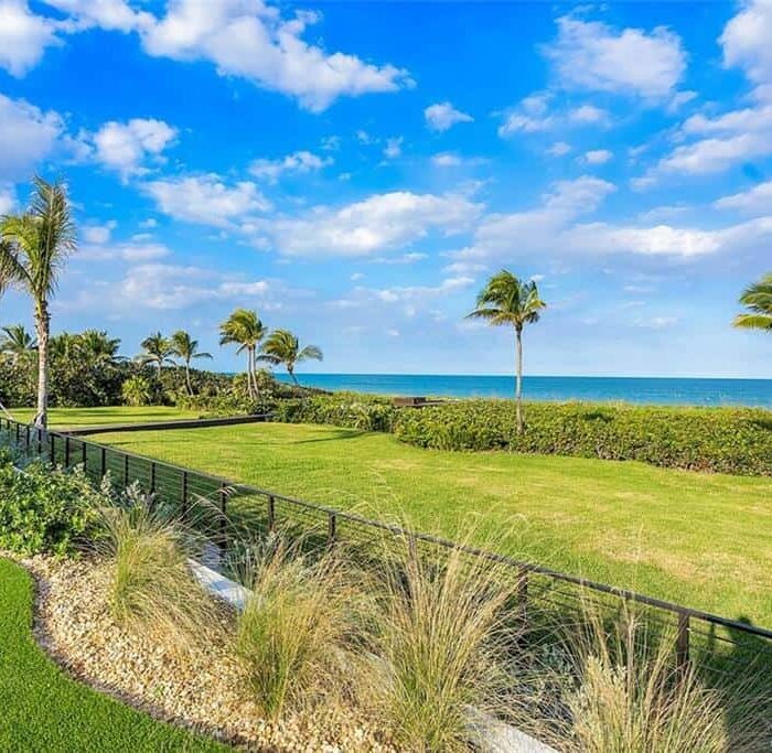 Lush lawn overlooking ocean and palm trees.