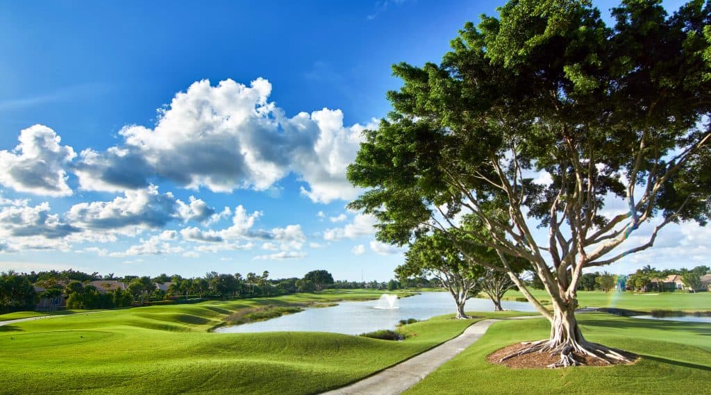 Golf course with tree and pond under blue sky.